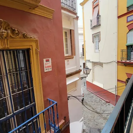 Rentalsevilla En La Plaza Del Salvador Seville